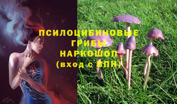соль курить ск Абинск